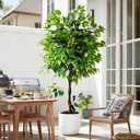 Erimda 6ft Artificial Ficus Tree for Home Decor, Faux Silk Plants Faux Plant Fake Silk Trees with Pot for Indoor House Living Room Office Garden