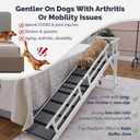 Dog Ramp for Bed or Couch, Wooden Pet Ramp with 20 Gentle Slope, Removable Side Rails, Non-Slip Surface, Top Platform & Wheels, Safe Bed Ramp for Small, Large & Senior Dogs, 74" Long, White