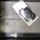 Sentry Safe Safe Box, 14.3 x 15.5 x 13.5, Black & Smead Colored Hanging File Folder with Tab, 1/5-Cut Adjustable Tab, Letter Size, Assorted Primary Colors, 25 Per Box