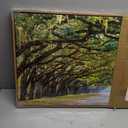 arteWOODS Green Forest Framed Canvas Wall Art Oak Trees Covered Lane Pictures Art Print Green Nature Landscape Artwork Oak Trees Lined Road at Georgia, Natural Wood Frame, Ready to Hang, 20" x 40"