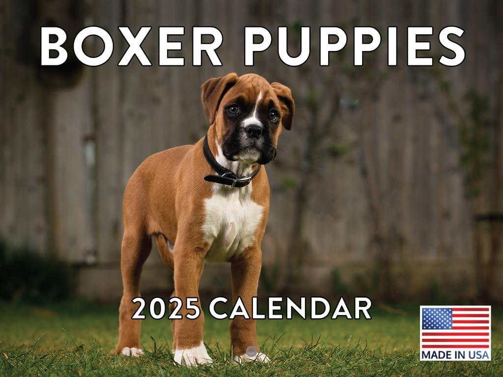Boxer Puppy Calendar 2025 Boxer Puppies Monthly Wall Calender 12 Month | American Made In The USA