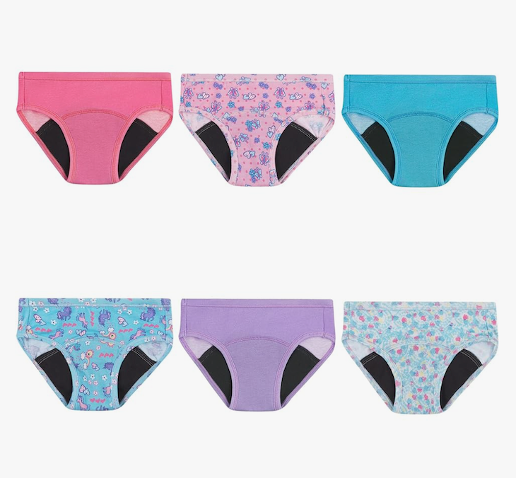 Hanes Girls' Hanes Toddler Girls' Potty Trainer Briefs, 6-Pack 2T-3T