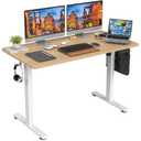 STARY Electric Standing Desk Adjustable Height Sit Stand Home Office Desk with Splice Board 48x24