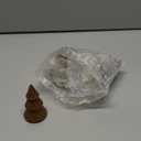 Bucherry 6 Pcs Christmas Tree Place Card Holders Mini Antique Gold Christmas Table Number Holders Farmhouse Resin Winter Table Centerpieces Decor for Xmas Wedding Party Decorations (2.36 Inch)