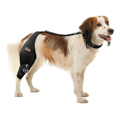 CHAMIN Adjustable Dog Knee Brace for Torn ACL Hind Leg, Support for Tear Ligament, Osteoarthritis, Rear Leg Limp, Recovery After Surgery,et(Right Leg,M)