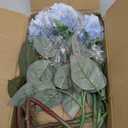 Artificial Realistic Roses Blue Flowers 24" Real Touch Silk Roses Bouquet Long Stems Rose for Flower Arrangement Fake Roses Decor for Home Party Wedding Table Centerpieces Roses Realistic - 5 Pcs