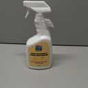 Stain & Odor Remover  Enzyme-Powered Cleaner for Pet Accidents on Carpet, Furniture & Floors  32 oz Spray  Safe for Dogs, Cats & Homes