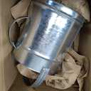 Geetery 2 Gallon Galvanized Metal Watering Can, Removable Spout,Silver