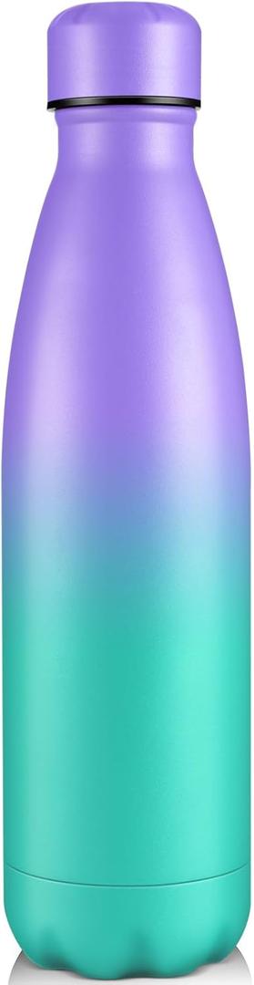 Volhoply 25oz Insulated Water Bottle 1/2/4 Pack, Double Wall Stainless Steel Vacuum Bottles, Keeps Cold & Hot, BPA Free Leak Proof Bottles (Purple Green,1 Pack)