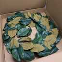 Serene Spaces Living Artificial Magnolia Leaf Garland and Wreath, Ideal to Hang at Wedding, Store Display, Window Sill, Fall Decor, Holiday Dcor (24" Green & Brown Magnolia Wreath)