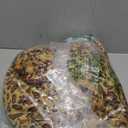 Adult Onesie Pajamas Animal One Piece Costume Halloween Cosplay for Women Men (Medium, Leopard Cat)