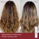 L'ANZA Healing Colorcare Conditioner, Daily Color-Safe Conditioner, Hydrates & Repairs Dry Damaged Hair, Detangles, Anti-Fade, Adds Shine. Anti-Humidity, Strengthening Care, Sulfate Free