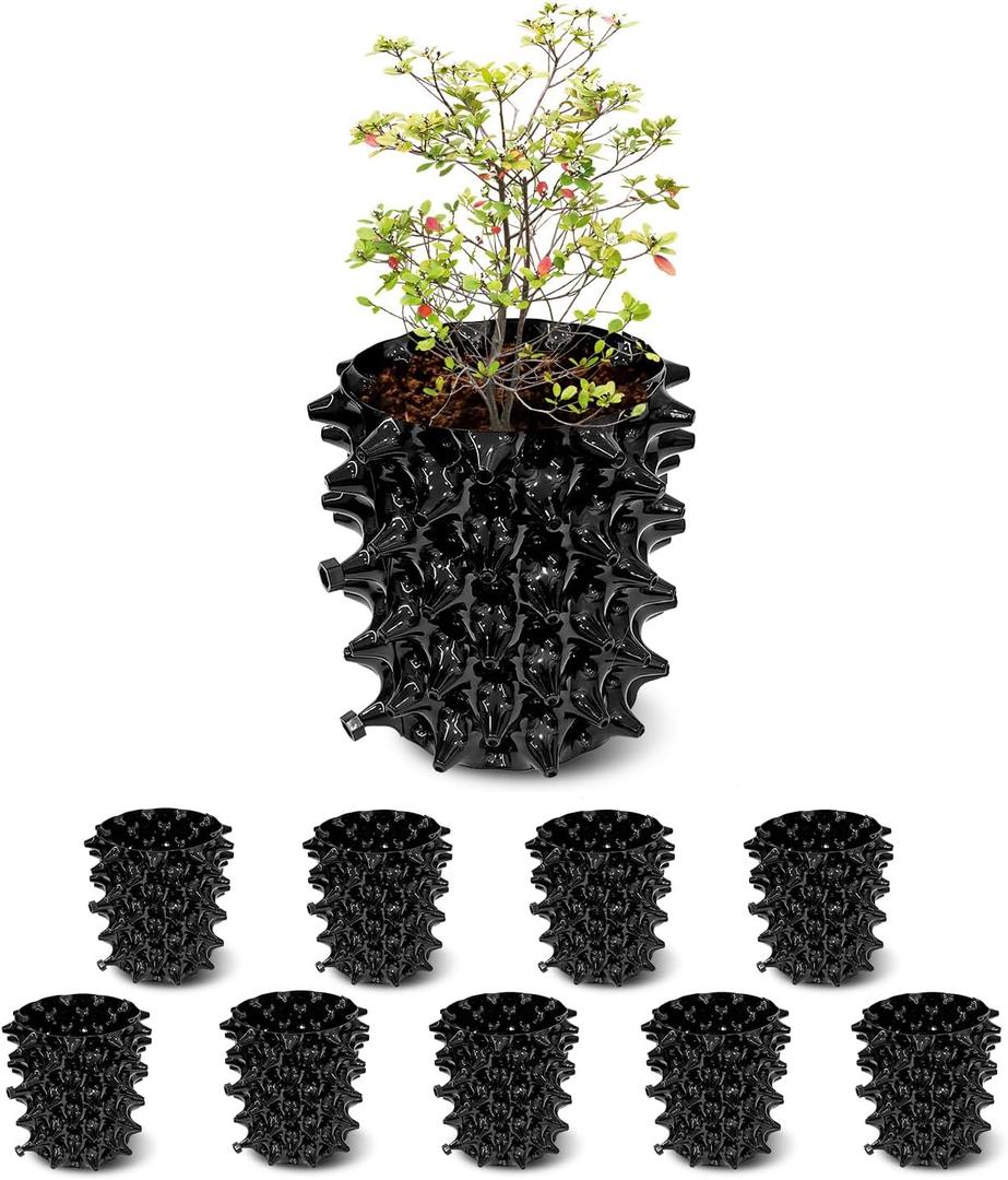 RooTrimmer 1 Gallon Air Pruning Containers, New Plastic Nursery Pots, Fruit Vegetable Garden Self-Planting Pots, Black (1G-10P)