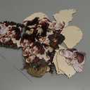 24 Pcs Wooden Santa Ornaments - 6 Styles Nativity of Christ Ornaments for Christmas Tree - 4 x 3.5 Inch Santa with Baby Jesus Hanging Decoration for Home Winter Party