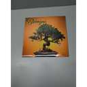 Carousel Calendars, Bonsai 2026 Wall Calendar, 12'' X 12'', 16-Month Calendar with Stapled Binding
