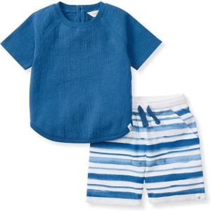 Burt's Bees Baby baby-boys Shirt and Shorts Set, Top & Bottom Outfit Bundle, 100% Organic Cotton (4T)