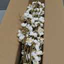 florisso 6 PCS Artificial Cherry Blossom Branches Spring Indoor Decoration, Faux Flowers 34.45" Long Stems Plum Fake Peach Plants Real Touch Silk for Wedding Home Bedroom Party Table Office, White