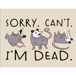 Funny Possum Storage Bins