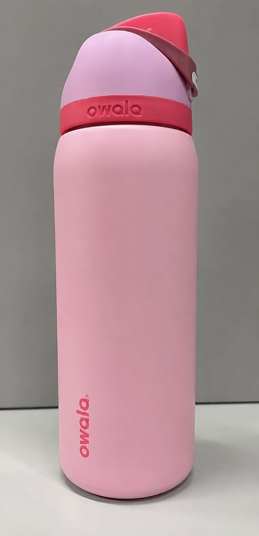 Owala Disney Princess FreeSip Insulated Stainless Steel Water Bottle with Straw for Sports and Travel, BPA-Free Sports Water Bottle, 24 oz, Rapunzel