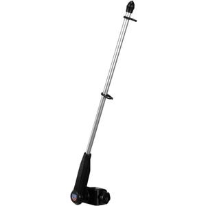 Golf Cart Flagpole (Black)
