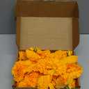 Hananona 50 Pcs Marigold Flower Heads Bulk, Silk Marigolds with Stems Artificial Mexican Flowers for Diwali Day of The Dead Dia De Los Muertos Ofrenda Decor (Orange)