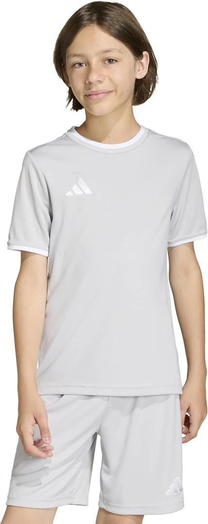 adidas Boys Entrada 26 Jersey (XX-Small, Team Light Grey/White)