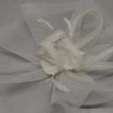 Tea Party Hat Fascinators Hats for Women Girls Elegant Kentucky Derby Hat Flower Feather Headband Outfits for Wedding Church