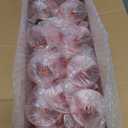 Ciaell 24 Pack Pink Plastic Champagne Flutes - Pink 6 Oz Disposable Champagne Glasses - Square Plastic Toasting Glasses for Party Birthday Anniversary Wedding & Mother's Day