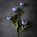6 Pcs 27" Faux Silk Peony Artificial Flowers Stems for Vase (Dusty Blue)