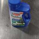 BioAdvanced 12 Month Tree and Shrub Protect and Feed, Granules, 4 lb, Insect Killer and Fertilizer & Plant Food