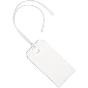 100 White Tags with String Attached - #1, 2 3/4 x 1 3/8, Paper Blank Hang Labels with String and Reinforced Eyelet