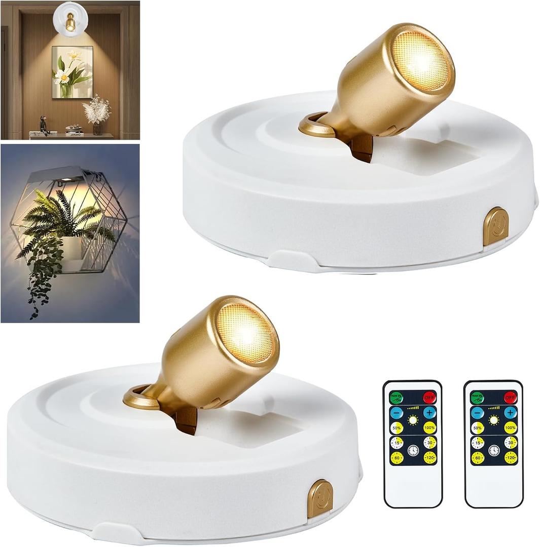 RAHAN 2Pack Battery Operated Spotlight, Picture Light with Remote Dimmable & Timer, Plants Up lighting Picture Lights for Paintings, Small LED Spot Display Lights for Wall Frame Artwork Dartboard