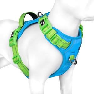 PHOEPET No Pull Dog Harness, Unique Colors Reflective Adjustable Dog Vest, with Soft Training Handle Metal Clips for Dogs (Blue Base & Green Straps,L)
