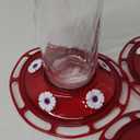 More Birds Bird Health+ Ruby Hummingbird Feeder, Glass Hummingbird Feeders for Outdoors, 4 Feeding Stations, 10 Ounces, Ruby Red