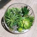 Winlyn 19 Pcs Assorted Artificial Succulents Plants Unpotted Small Green Hanging Succulent Aloe Fake Cacti Succulents Bulk for Succulent Garden Centerpiece Wreath Arrangement Indoor Outdoor Home Decor