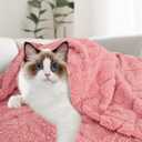 2 x MACEVIA Small Dog Blanket Washable Pet Bed,(29x40 Inch, Pink) | Warm Soft Washable Pet Bed Cover, Fuzzy Puppy Pets Blanket for Dogs and Cats,Plush Pet Throws for Bed,Couch,Sofa,Travel