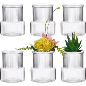 6 Pack Plastic Flower Vases Bulk, Small Clear Modern Ribbed Bud Vase for Centerpieces Wedding Home Decorations, Holder for Flower Plants Bouquet, 4.7 Inches