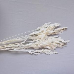Dried Grass Bundle, 20 Stems 15-17 Inch Natural Chasmanthium Flower Bouquet for Vase, DIY Floral Arrangements, Weddings Party Home Baby Shower Elegant Decor  