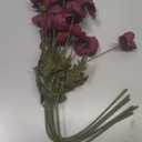 IPOPU Burgundy Silk Flowers 6PCS Fake Poppies Artificial Flowers for Veterans Day Floral Centerpieces, Tables, Wedding Decorations, Reception