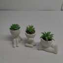 Der Rose 3 Pack Fake Plants Artificial Succulents Plants for Room Bathroom Home Office Desk Accessories Decor for Women (White)
