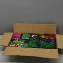 PREXTEX 23-Inch DIY Mini Christmas Tree with Lights - Small Christmas Decorations Table Top Xmas Tree with Multicolor LED String Lights, Star Topper, Hanging Ornaments and Gift Boxes for Holiday Decor (Dark Green)