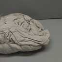 Amazon Basics 4 Piece Bed Sheets Set, 100% Cotton Jersey, Includes Super Soft, Flat and Fitted Sheets, Pillowcase, King, Oatmeal, Solid