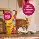 Meow Mix Gravy Bursts, Savory Chicken Flavor Mix, Gravy Filled Dry Cat Food, 3 lb. Bag (EXP 10/08/26)