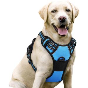 rabbitgoo Dog Harness No Pull with 2 Leash Clips, Adjustable Soft Padded, Reflective Oxford No Choke Pet Vest with Easy Control Handle for Large Dogs, Blue, L
