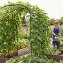 SUNYRISY Garden Arch Trellis for Climbing Plants Outdoor, 71" x 47" x 83" Metal Core Tall Archway Tunnel Plant Support for Cucumber Tomato Vine Flowers Vegetables Climbing Plants