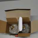 MIXJOY 150W Reptile Heat Lamp Bulbs, 2Pack Heat Lamp Bulbs for Reptiles Basking Bulbs UVA Daylight Basking Light Amphibians Heating Lamp Emitter for Lizard, Tortoise, Bearded Dragon Gecko, Chicken