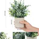 Velener 2 Pcs Small Fake Plants Eucalyptus, Artificial Plants Indoor for Shelf, Potted Eucalyptus Plants for Home/Bathroom/Pottery Barn/Desk/Farmhouse/Coffee Table Decor (Sage Green)