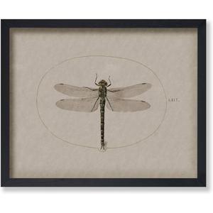 Poster Master Vintage Dragonfly Poster - Dark Academia Artwork - Unique Wall Decor Gift for Home, Living Room, Kitchen, Office, Bedroom, Bathroom - Insect Scientific Print, 9x11 Brown Framed