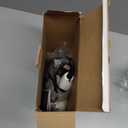 Conair Double Ceramic Hair Dryer, 1875W Blow Dryer with Diffuser and Concentrator, Ionic Conditioning, 3 Heat & 2 Speed Settings, White