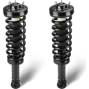 Front Complete Struts Assembly w/Coil Spring Shock Absorber Compatible with Ford F-150 4WD Models Only 2009-2013, Replace for 171141, 2Pcs